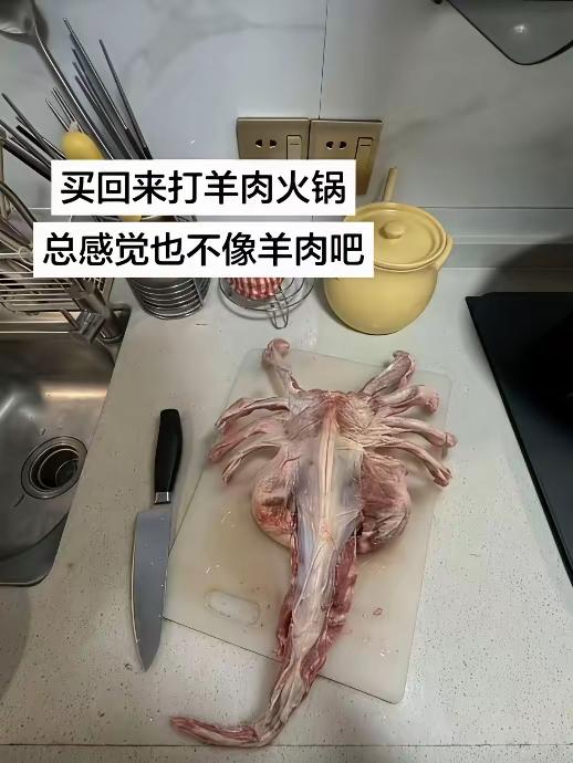羊蝎子的由来？
把完整的羊脊骨，从脖子一直到尾椎，一节一节的骨架，两侧有向外伸的