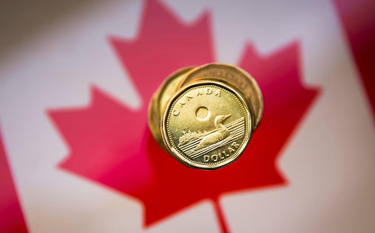 [To learn English]
The Canadian dollar w