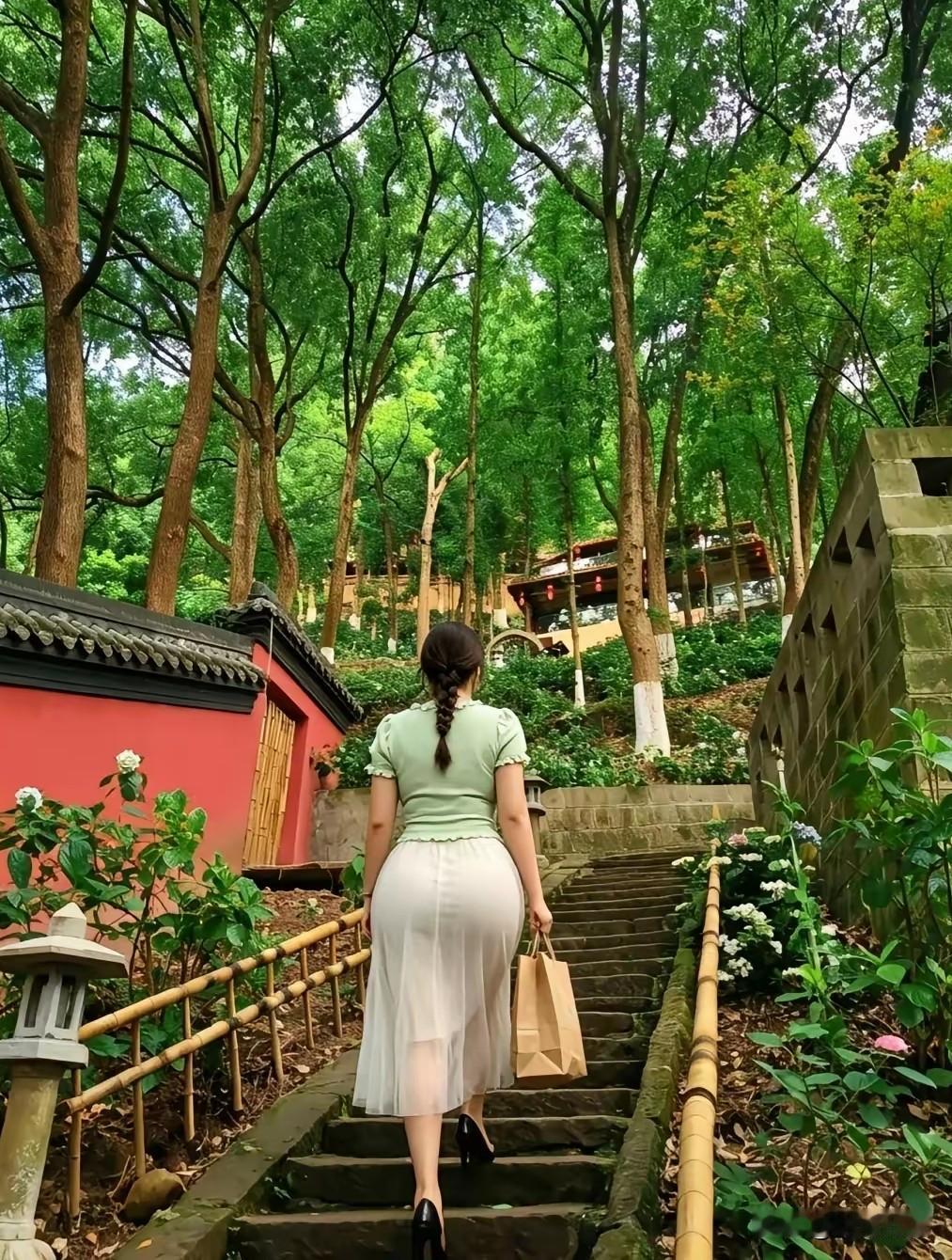 大树底下好乘凉
天热去森林中避暑
有来的吗