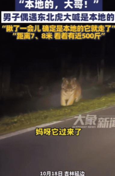 解释不清了！吉林一女子晚上打车回家，结果，司机开到一偏僻处，突然停车！女子一下就