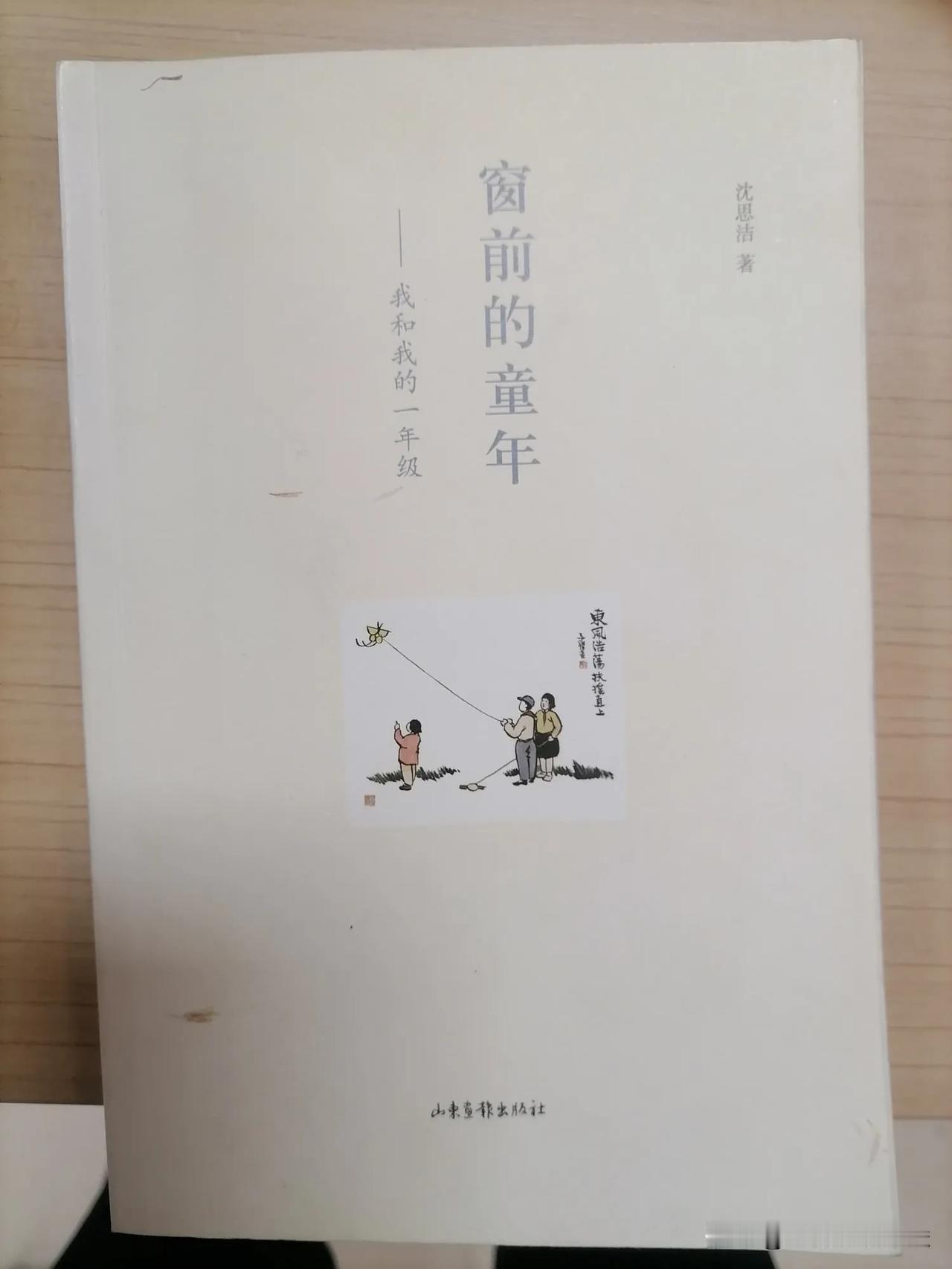 在同事办公室看到这本用日记形式记录孩子教育的书，仔细看看名字，原来还认识沈老师，