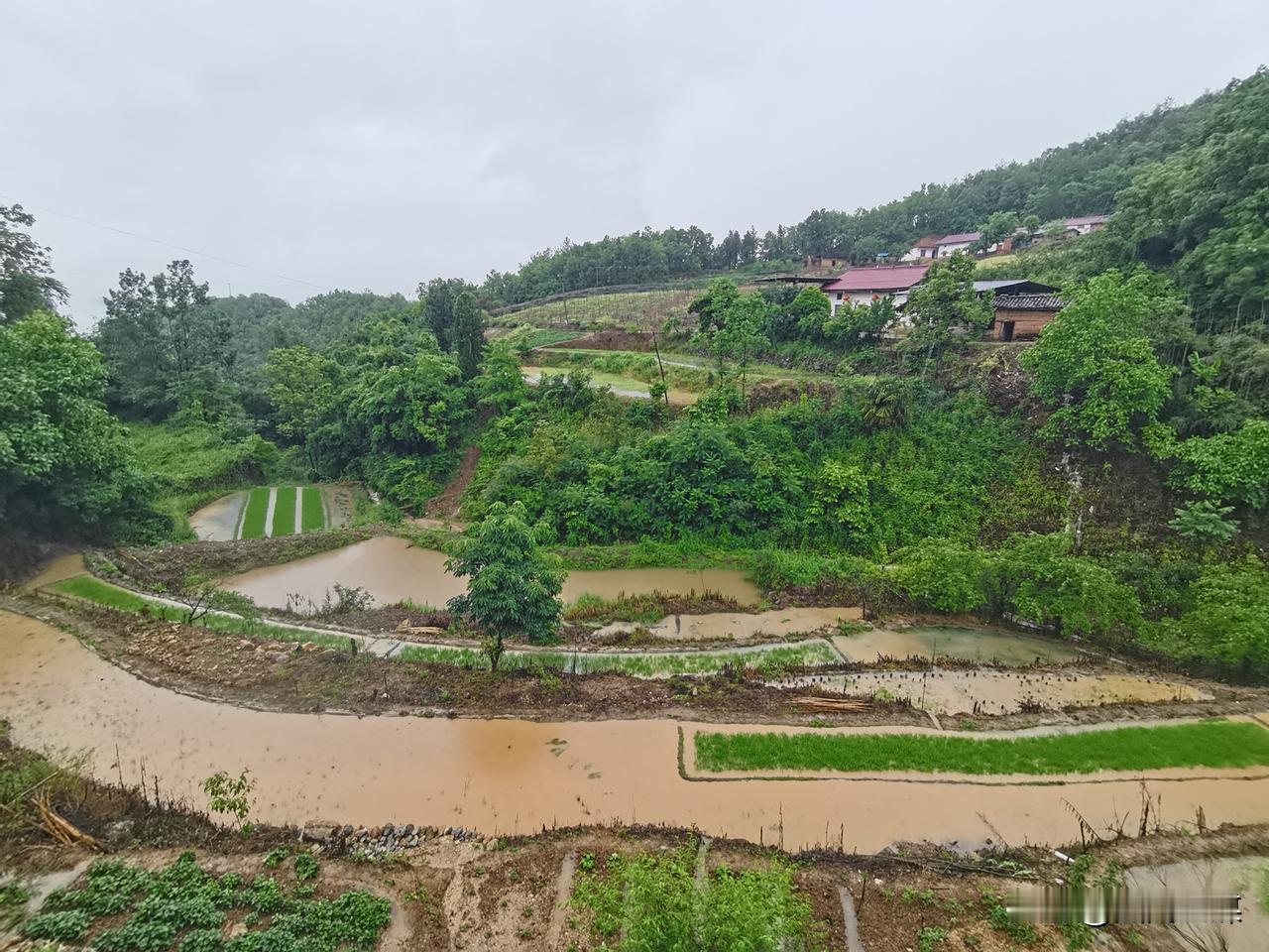 近日，受持续强对流天气影响，5月17日，秦巴山腹地普降大到暴雨，短时降雨强度大、