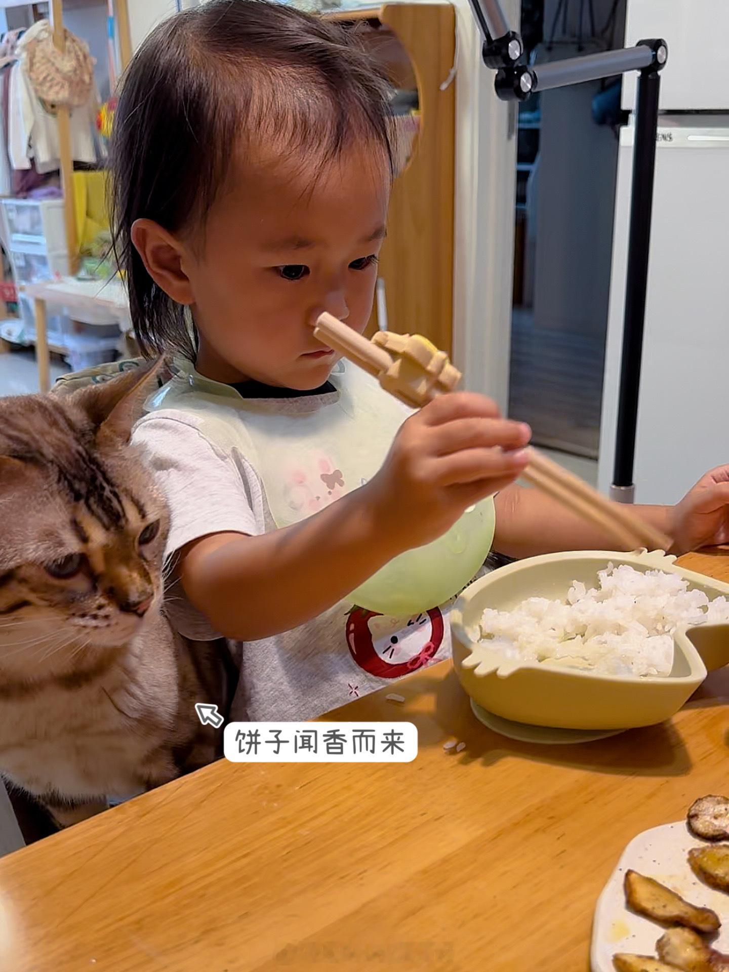 带娃做饭两不误又是一年松茸宴生活的模样我的美食日记带娃日常不可辜负的美食好好吃饭