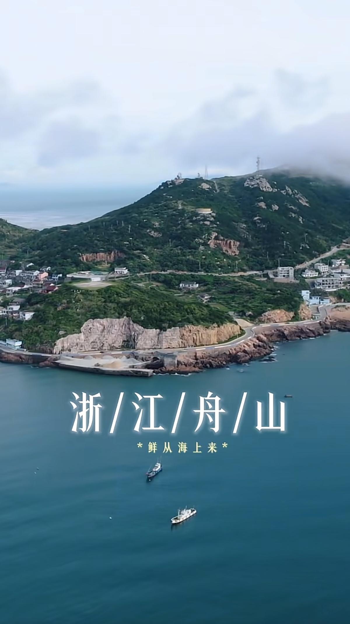 看渔船破浪，听海风轻吟，只为寻找那一口最纯粹的“鲜”。彪哥浙江舟山海鲜溯源，直播