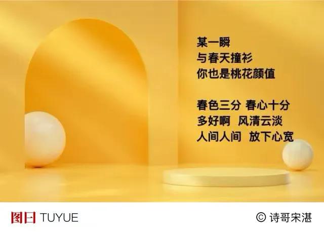 凝视一朵花
看着看着
心情春天了