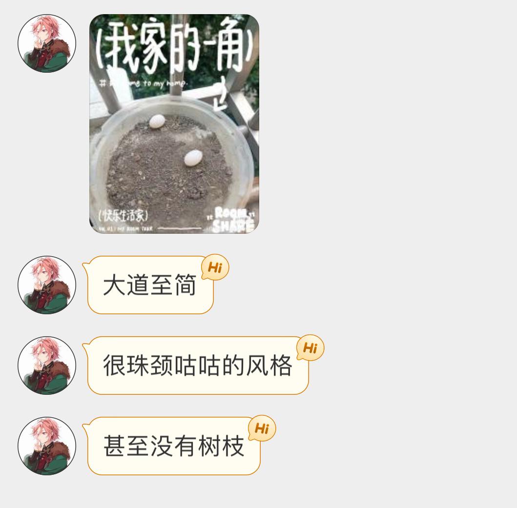 ？？？珠颈斑鸠又随地大小蛋… ​​​