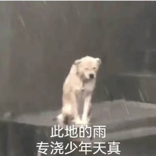 女装口袋太浅的报应还是降临到我身上了，一摸发现早上揣口袋里的一小盒小卡不翼而飞。