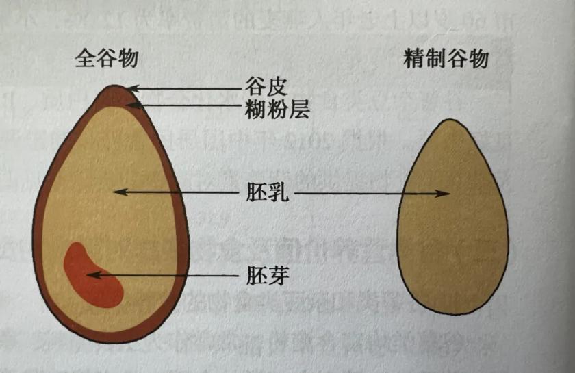 别不信！把1/3的主食换成它，我的体检单变了样！

谁懂啊！以前每顿不吃点米面，