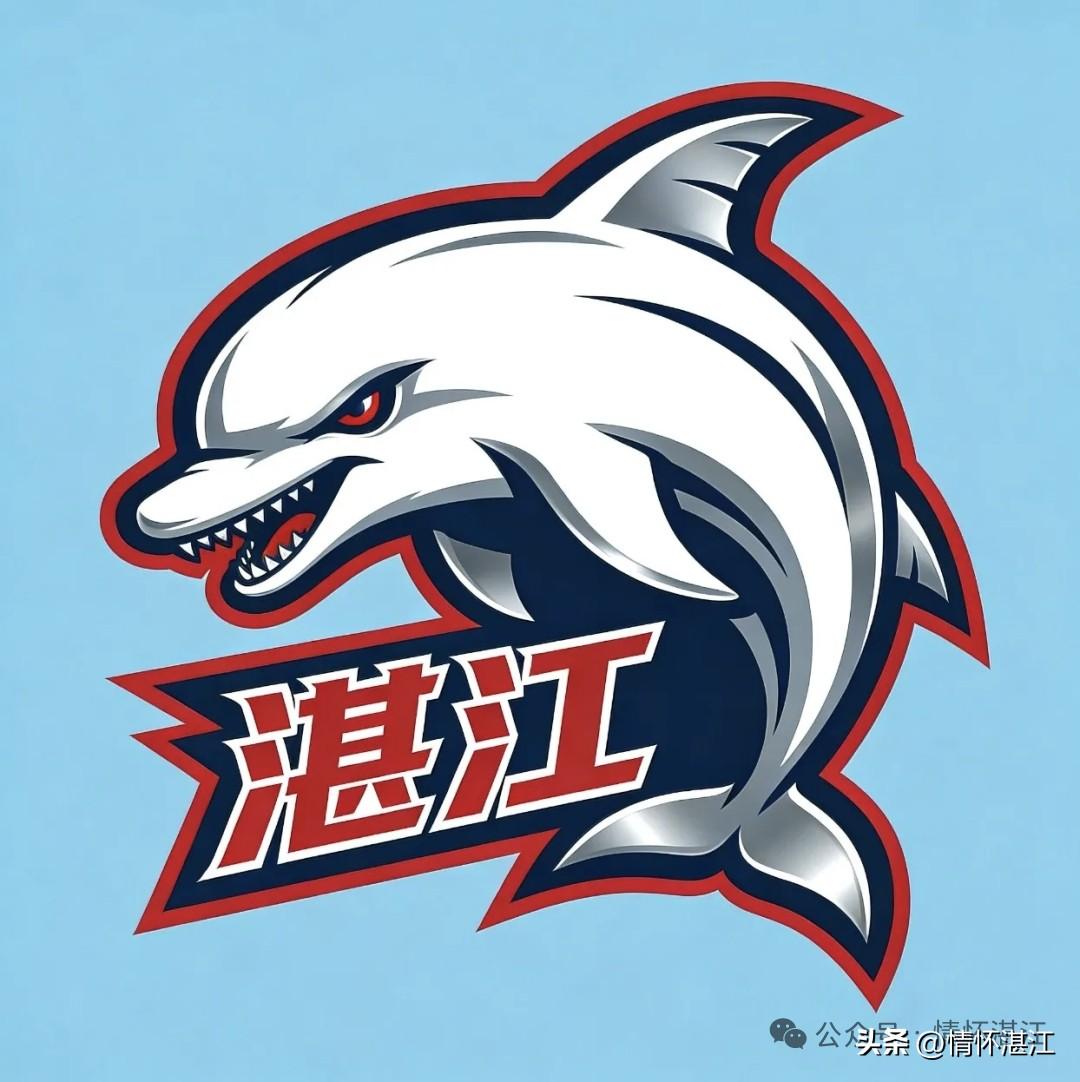 粤BA湛江队附加赛，湛江队身为西区第三，与东区第六的揭阳队展开对决。从实力层面来