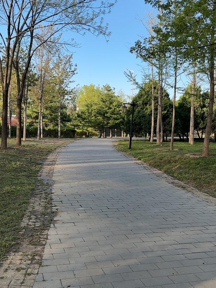 喜欢运动，打太极拳就是最好的有氧运动，这里就是我锻炼身体的地方。