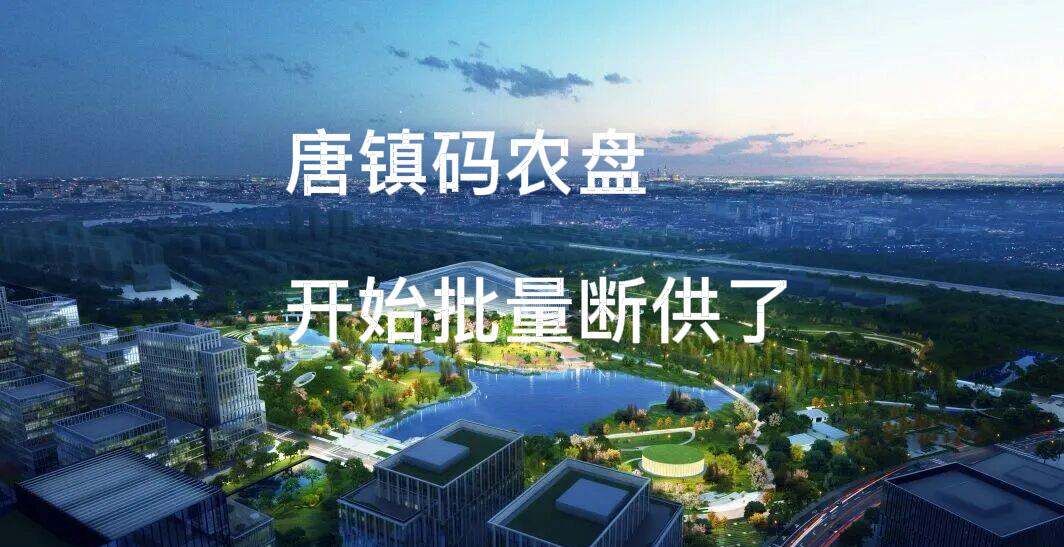 写上海楼市十年，第一次见码农盘跌成这样。早上那篇完整算账版，CTR 22%，数据