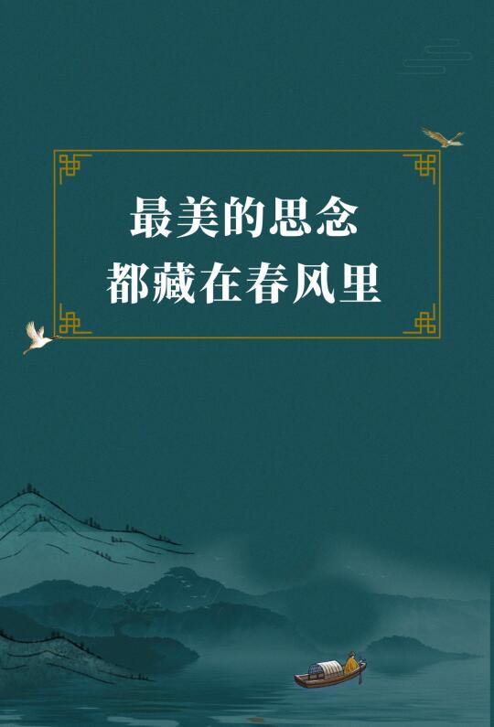第205集丨春天最美的思念都藏在