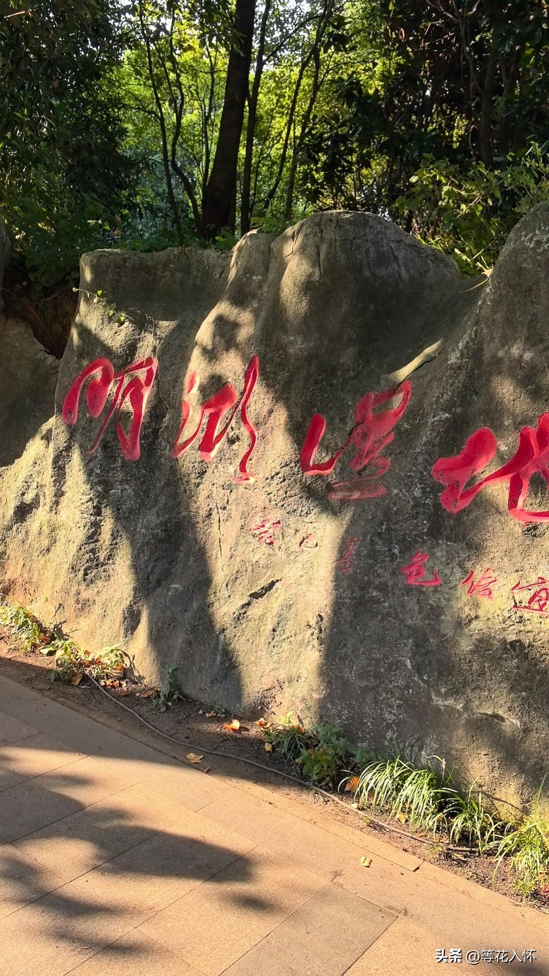 去世界凉都，看明湖湿地，享山水之乐，占云天之喜。短短8公里，公交去，步行回，风景