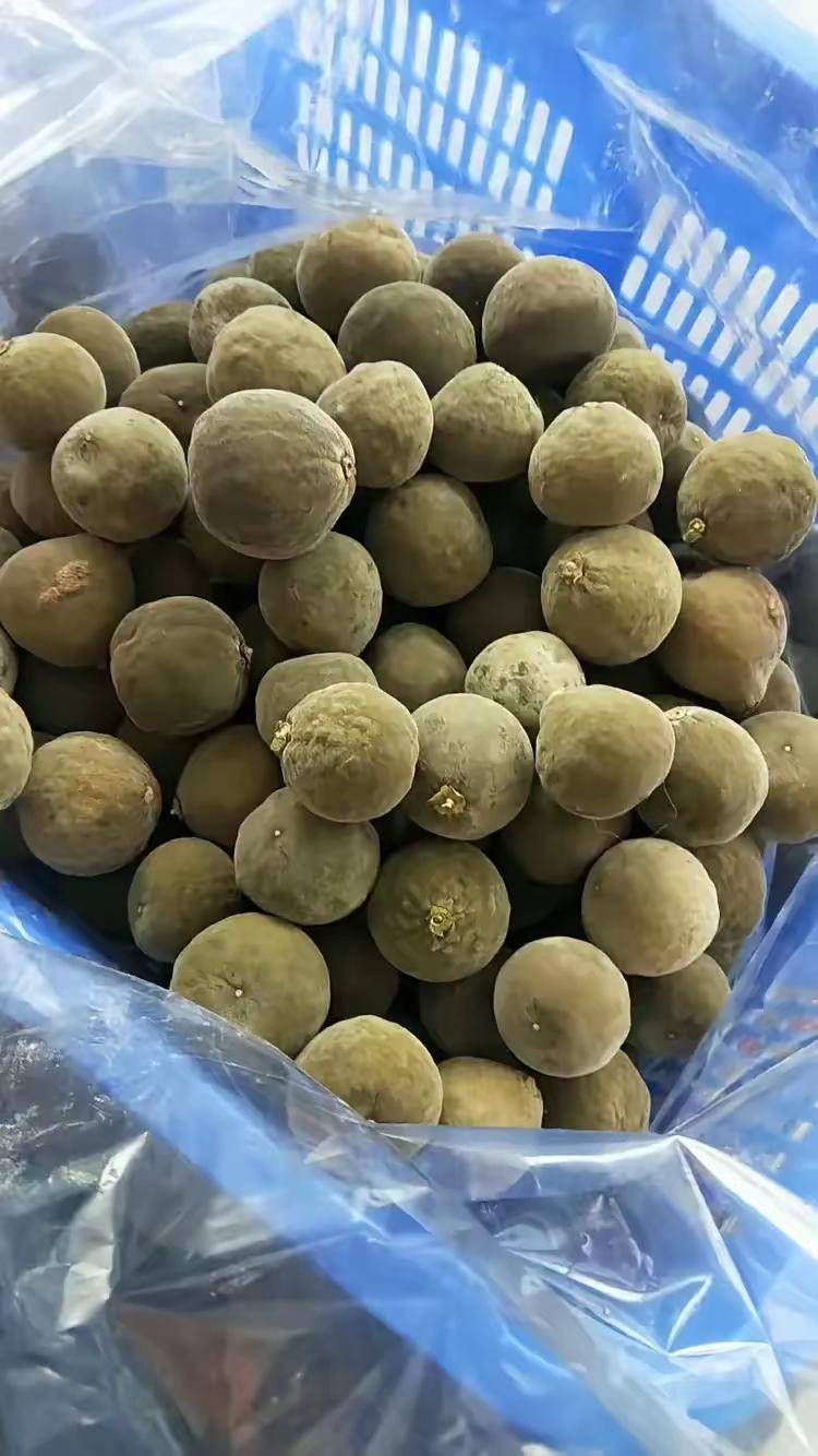 化州橘红，又名字叫化橘红。

有化州人都是知道它的故事，又是化州的土特产，又是中