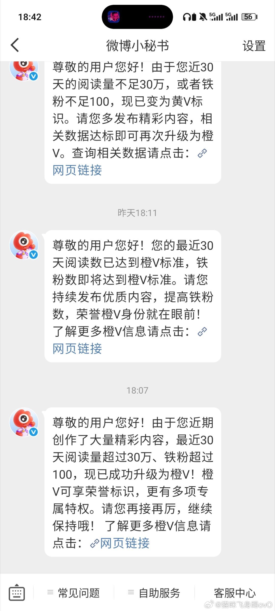 咋又回来了 