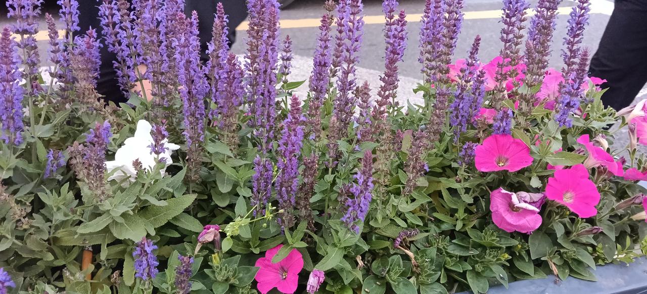 历史上的马皇后，其实一点都不惨，她的结局堪称古代皇后的天花板。
 
她与朱元璋是