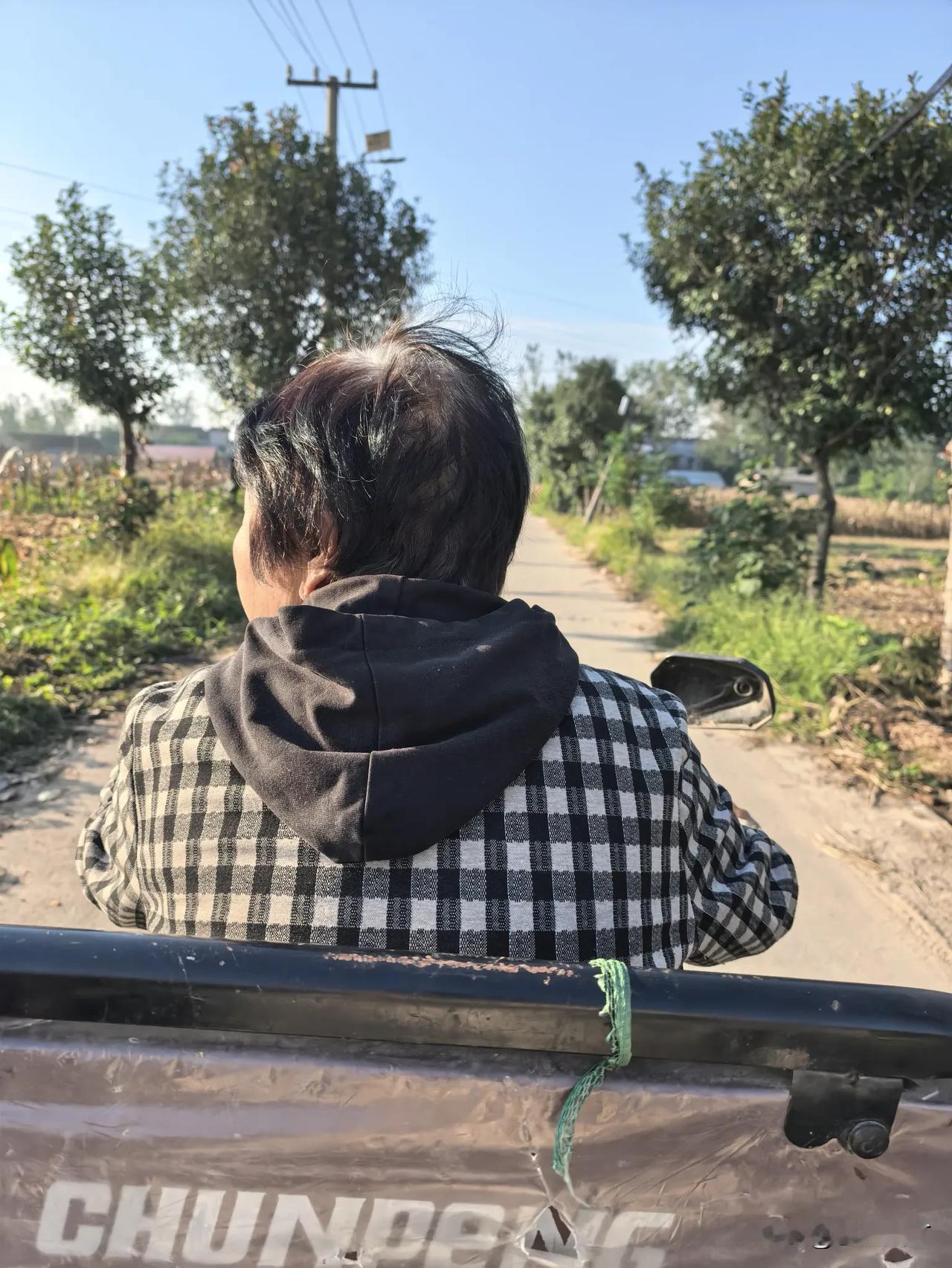 母亲开直播会讲嫂子隐私，会说嫂子坏话？

冬天冷了，我给母亲想了个不出门也有人说
