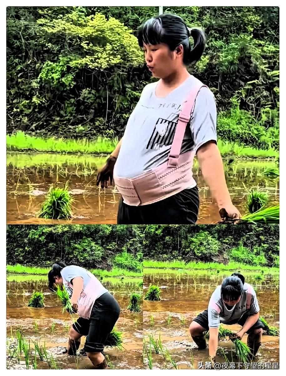 湖南怀化一村子，怀孕八个月的孕妇赤脚踩进泥水田插秧，丈夫在田埂递苗，婆婆弓着腰忙