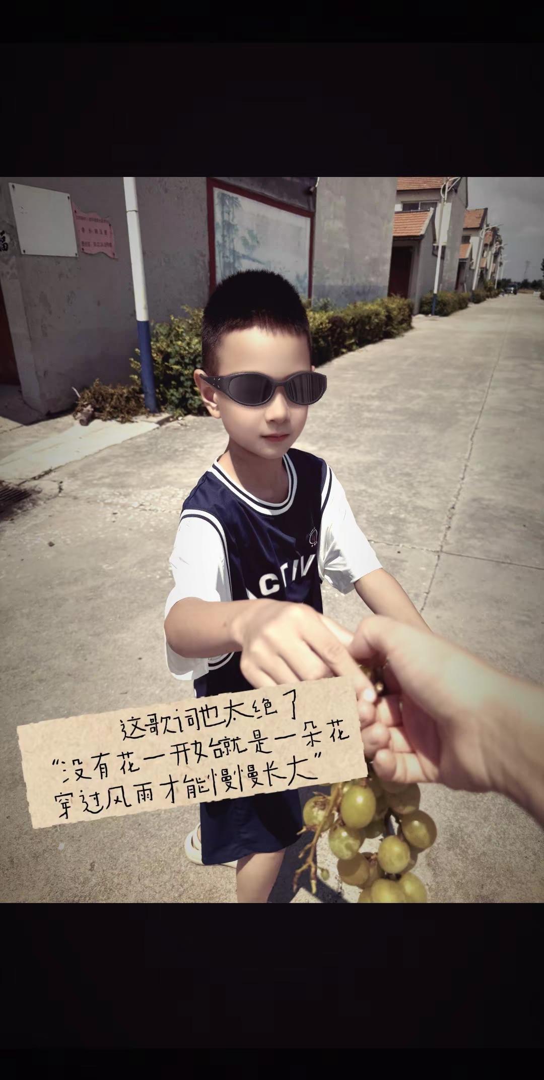 没有花一开始就是一朵花穿过风雨才能慢慢长大