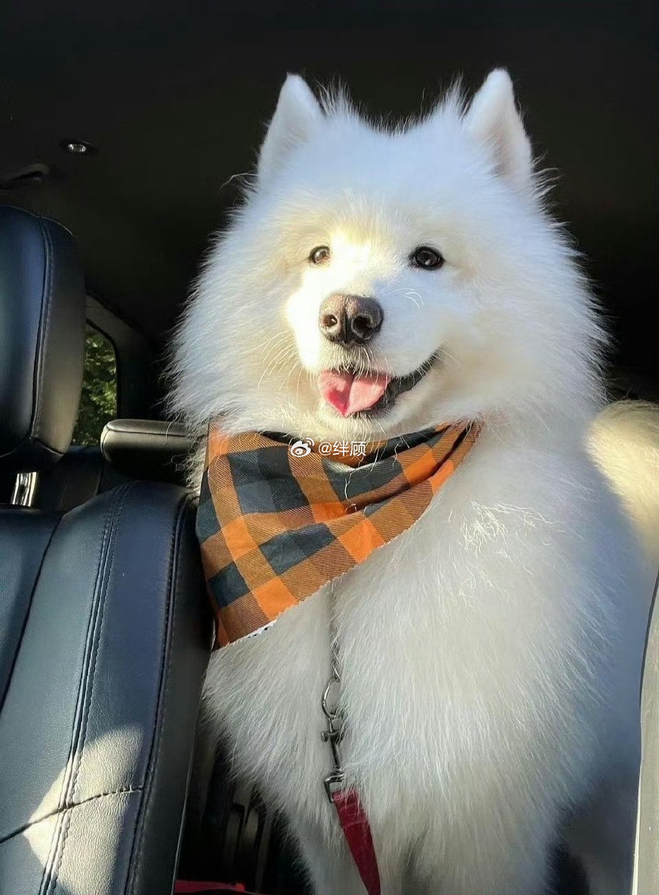 本周结束前，你期待的全会实现。 