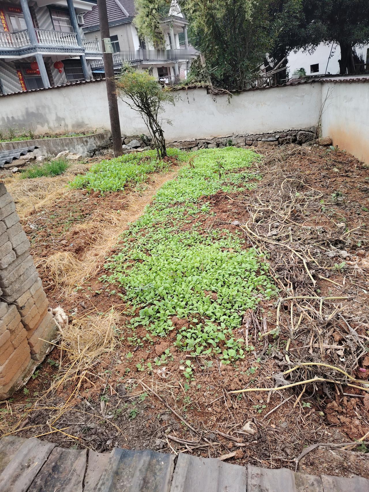 人到中年，上有老下有小，生活的重担像一座大山压在心头。每天睁开眼，第一时间想到的