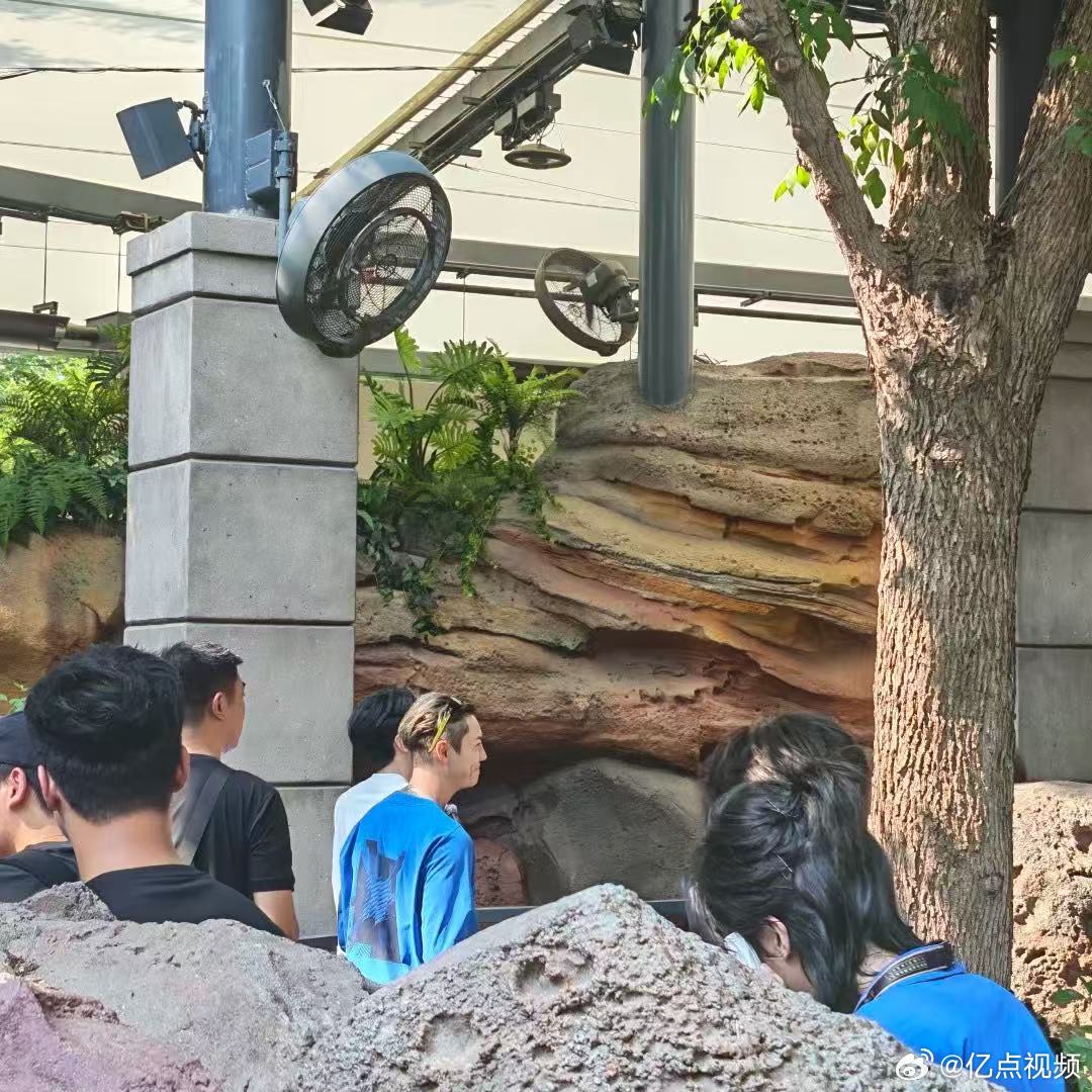 九门 我的评分：陈伟霆在环球cos哈利波特九门羡慕死今天在环球影城偶遇的路人！现