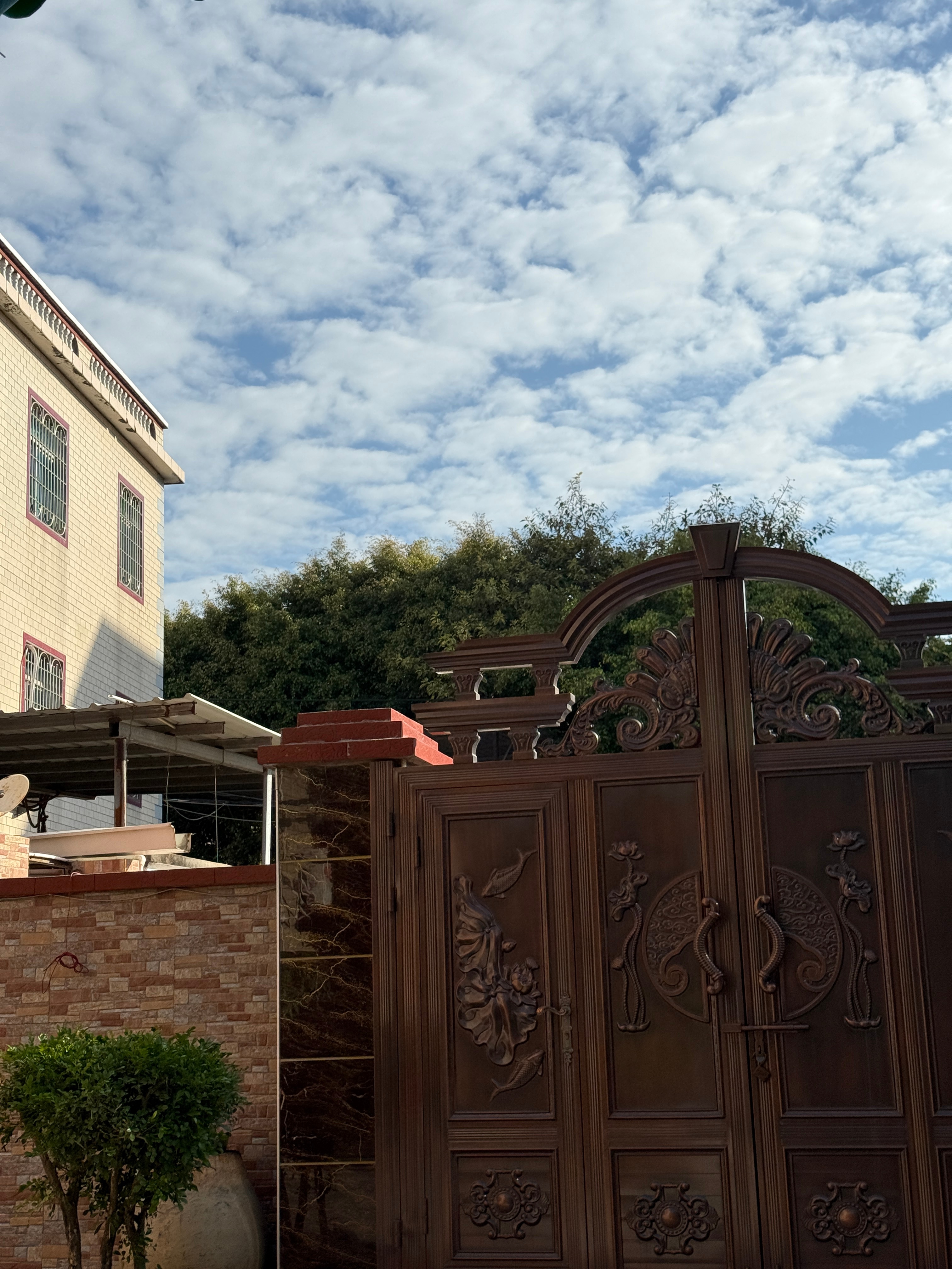 跑步即刻开跑 641今天的体感状态不错，稍微提点速拉点距离13公里✅ 厦门