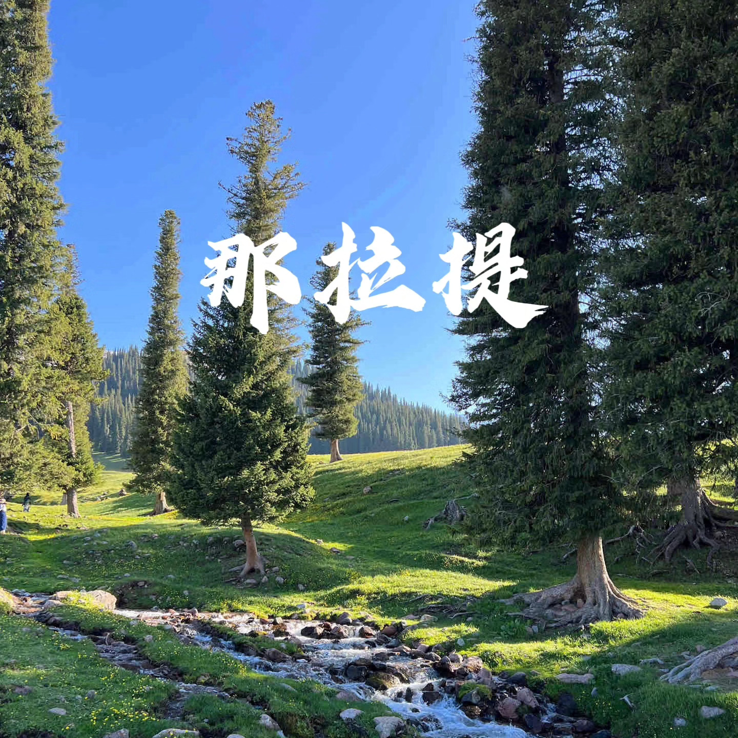 #新疆巴州最美的秋色##若羌且末红枣熟了##新星闪光计划# ​想念去年夏天在新疆