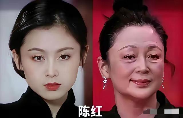 陈红这个照片，判若两人，有点不敢相信，美女老了也是老年人里最漂亮的，这句话不对吧