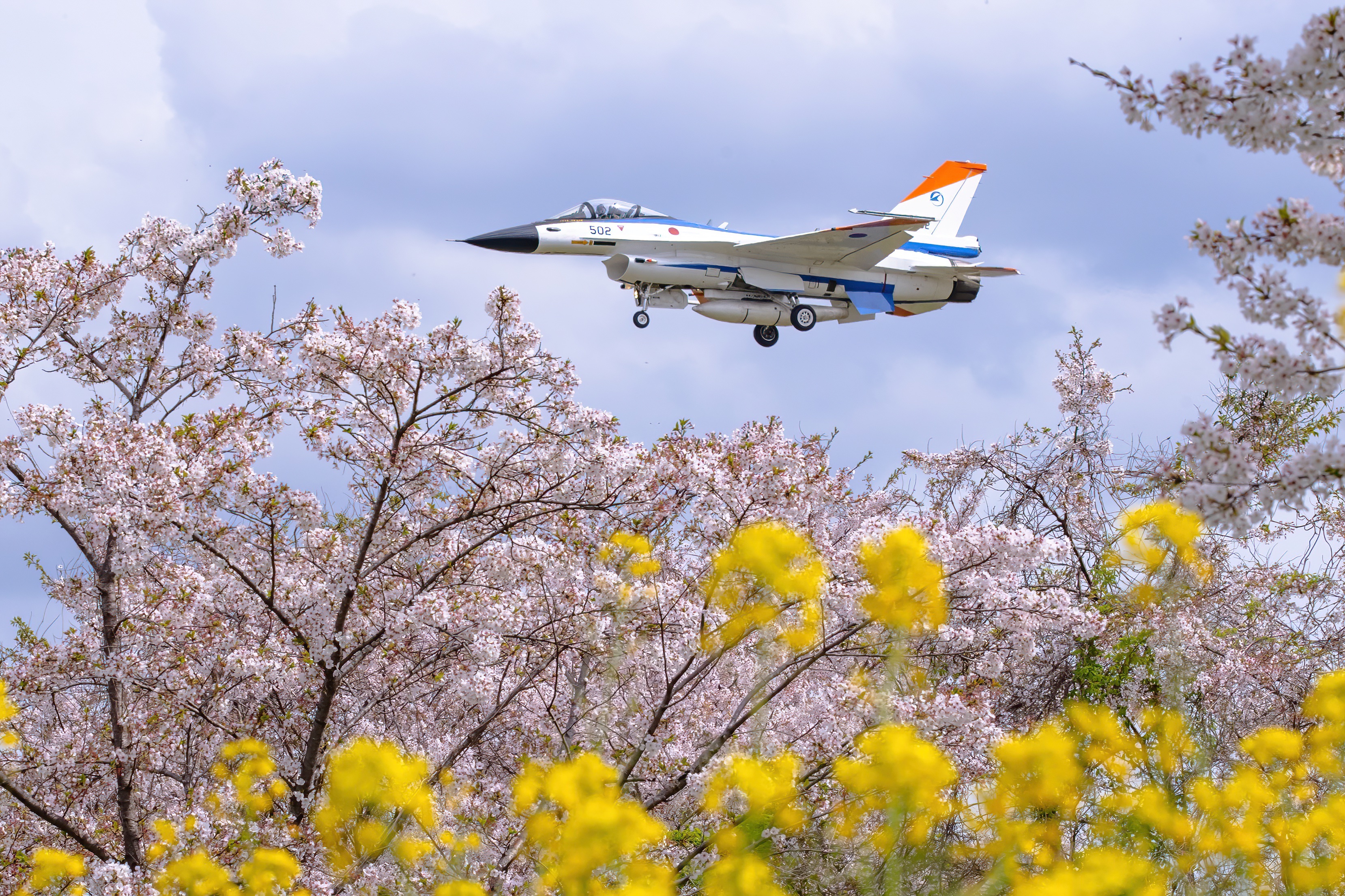 我们哪个基地能拍歼16和樱花呢 ​​​