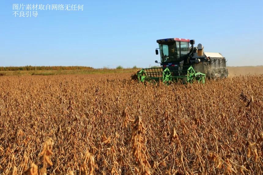 谁也没想到，这场大豆贸易战里，最先慌神的竟是手握“供应优势”的巴西。800万吨订