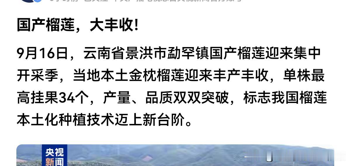 听说中国自己种植生产的榴莲已经出果了，而且产量还不错，虽然不是大规模，你是不是看