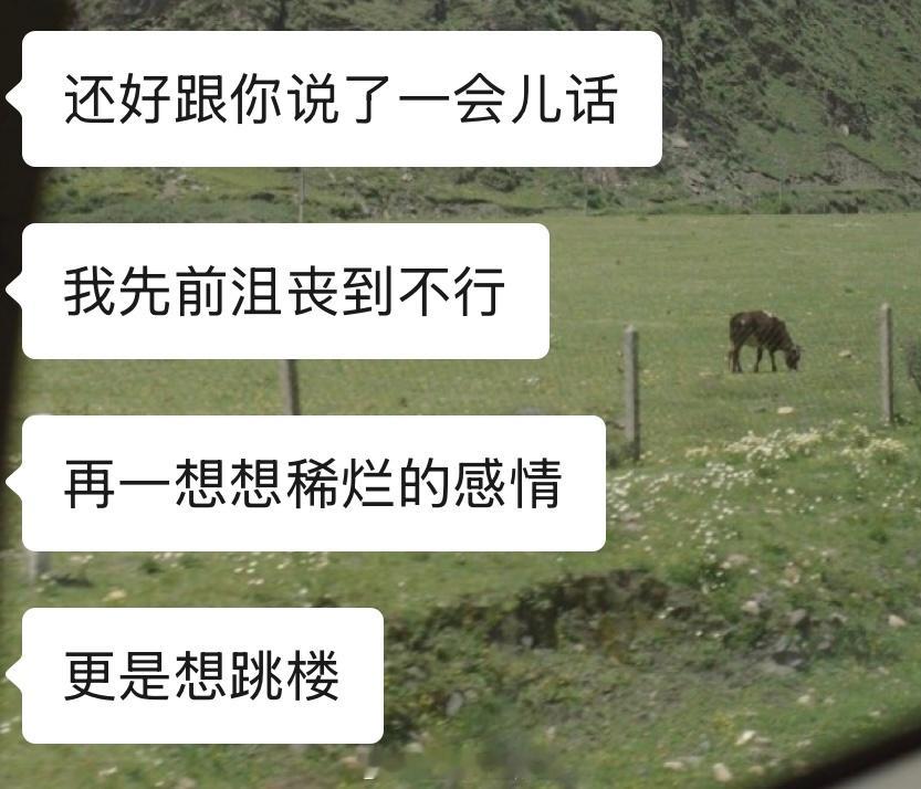 很少有人对我说这样的话 总是被理所当然的索取情绪价值 其实真的很开心自己被需要 