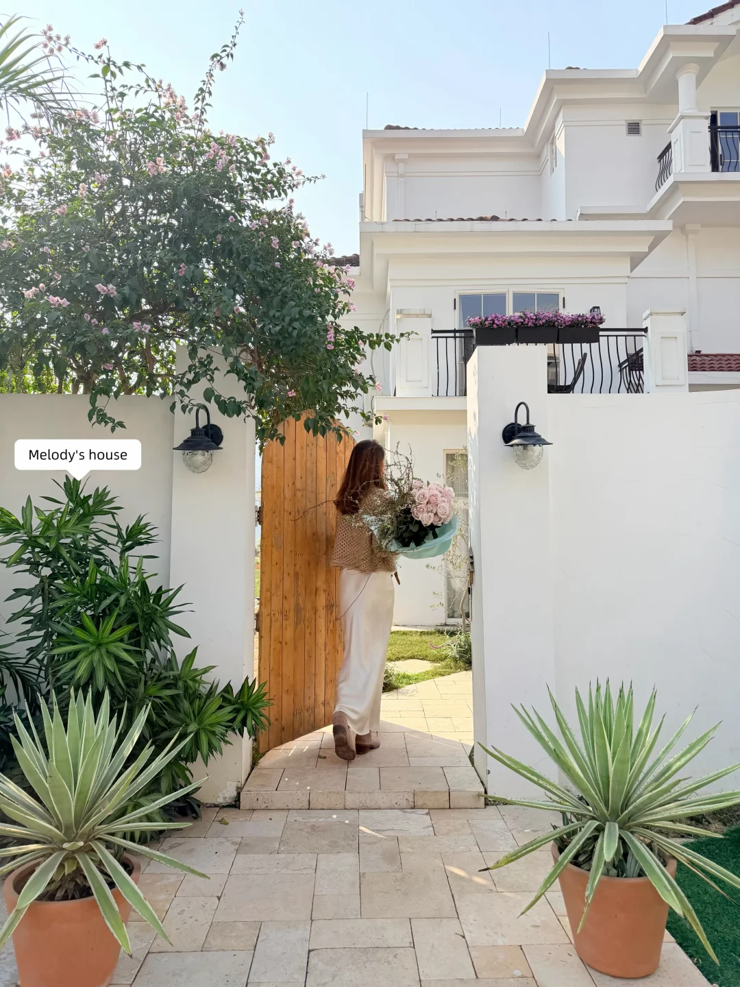 仿佛又过上了春天🌷