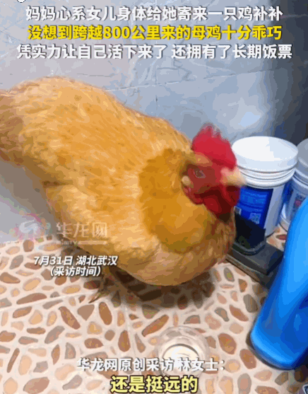 刻在骨子里的善良！7月31日报道，湖北武汉。一妈妈因心疼女儿身体，特意从800公