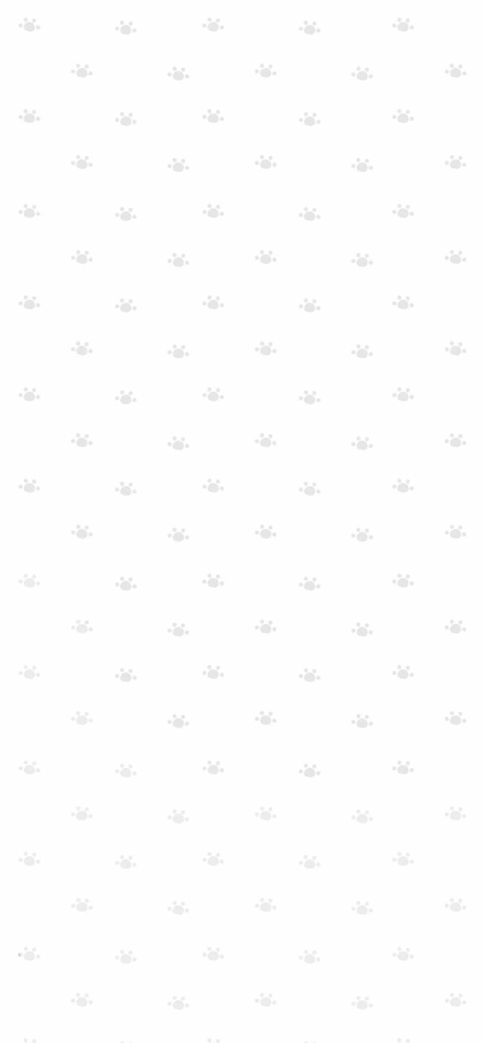 Share｜韩系背景图大放送 