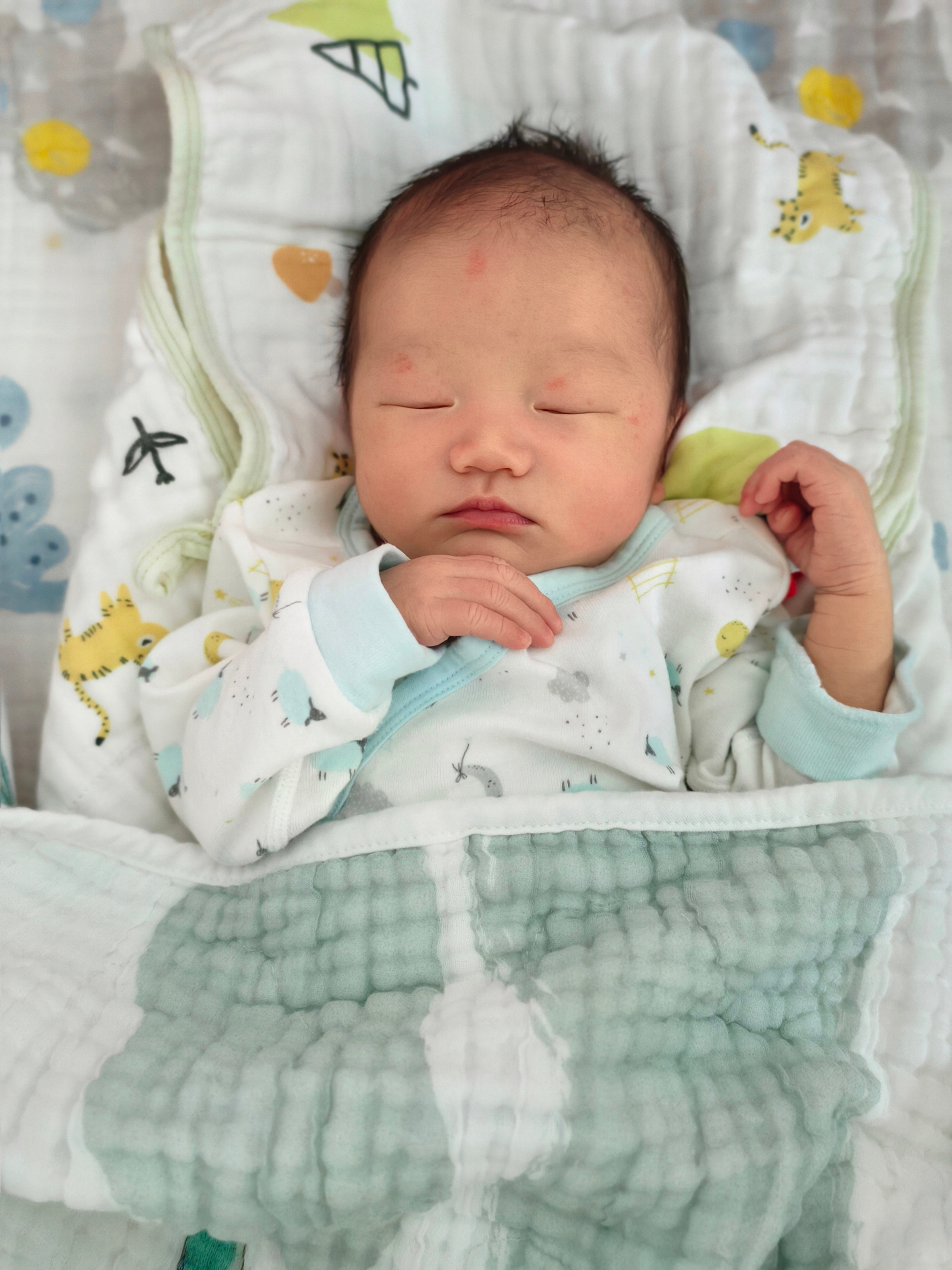 宝子们早哇～新鲜出炉的小蚂蚁，给大家问好哦[心] ​​​