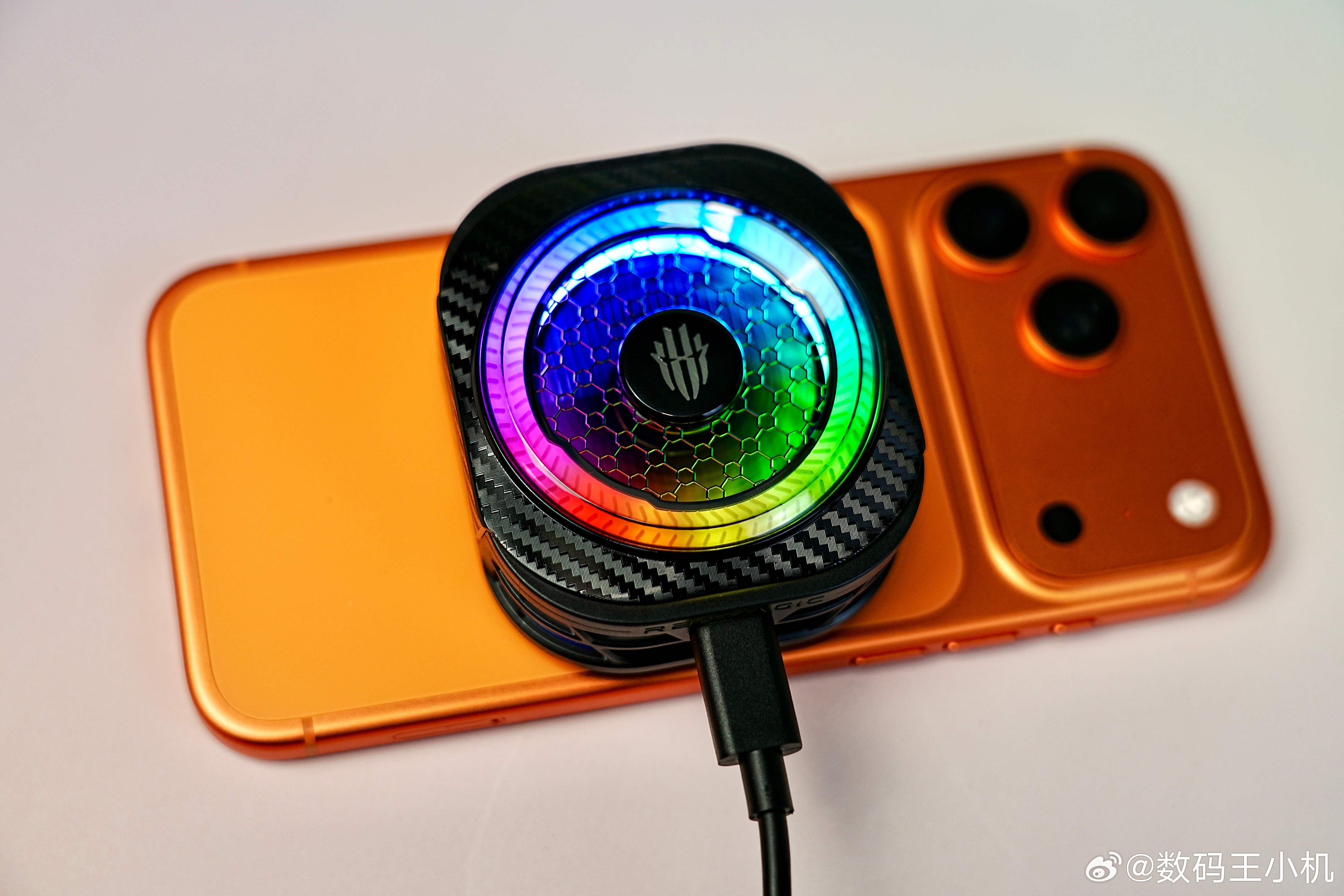 广东的天气真的绝了，过年都没冷过，现在都还是平均20多度还挺热，像我这样的重度游