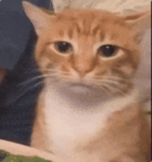 大润发线下买两箱就给个包啊?还随机 