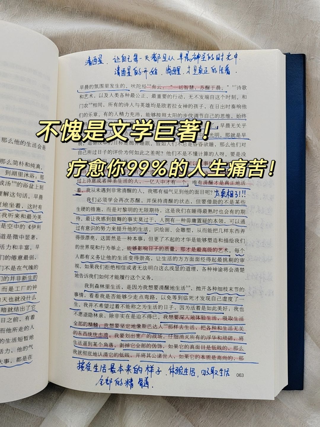 读这本书，就像做了一次深度的心理按摩