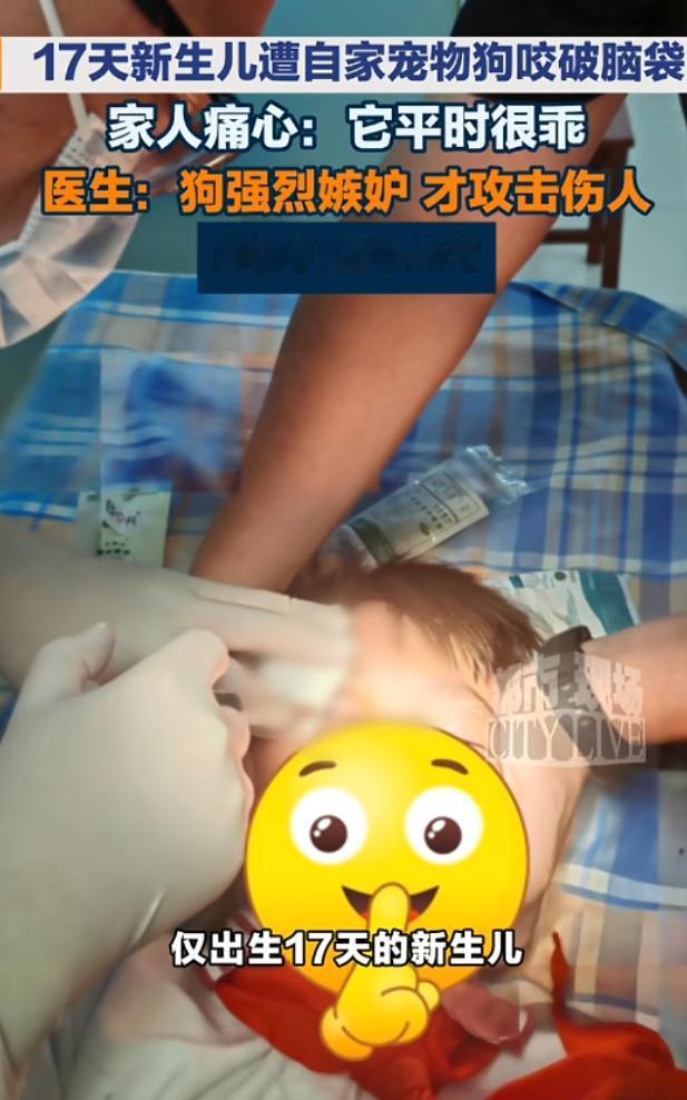 悲剧还是发生了！浙江，一对年轻夫妇养了一只小狗，平时小狗十分乖巧，可直到夫妻俩生