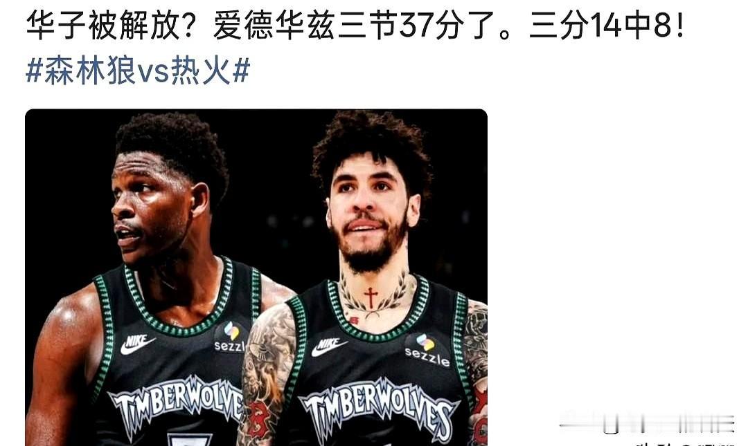 三节37分，三分球14中8，华子这哪是打球啊，简直是往热火心窝子里捅刀。
森林狼