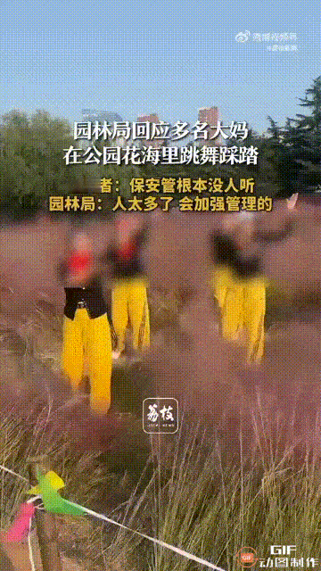 山东临沂一处公园内，本来有一片漂亮的花海，为了方便游客观赏，周围还铺了水泥路，可