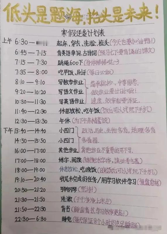 “低头是题海，抬头是未来”，这高中生寒假逆袭计划表，是要冲清北的节奏吗？

实话