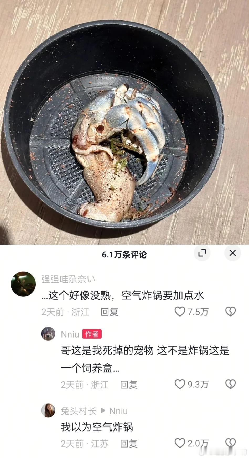 我不行了，深井冰啊[泪奔]谁懂啊搞笑神评论 ​​​