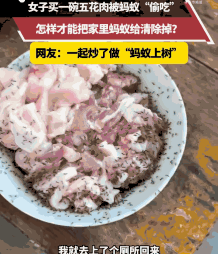看的头皮发麻！云南，一女子买来一碗香气四溢的五花肉，准备大快朵颐。她将肉碗随手放