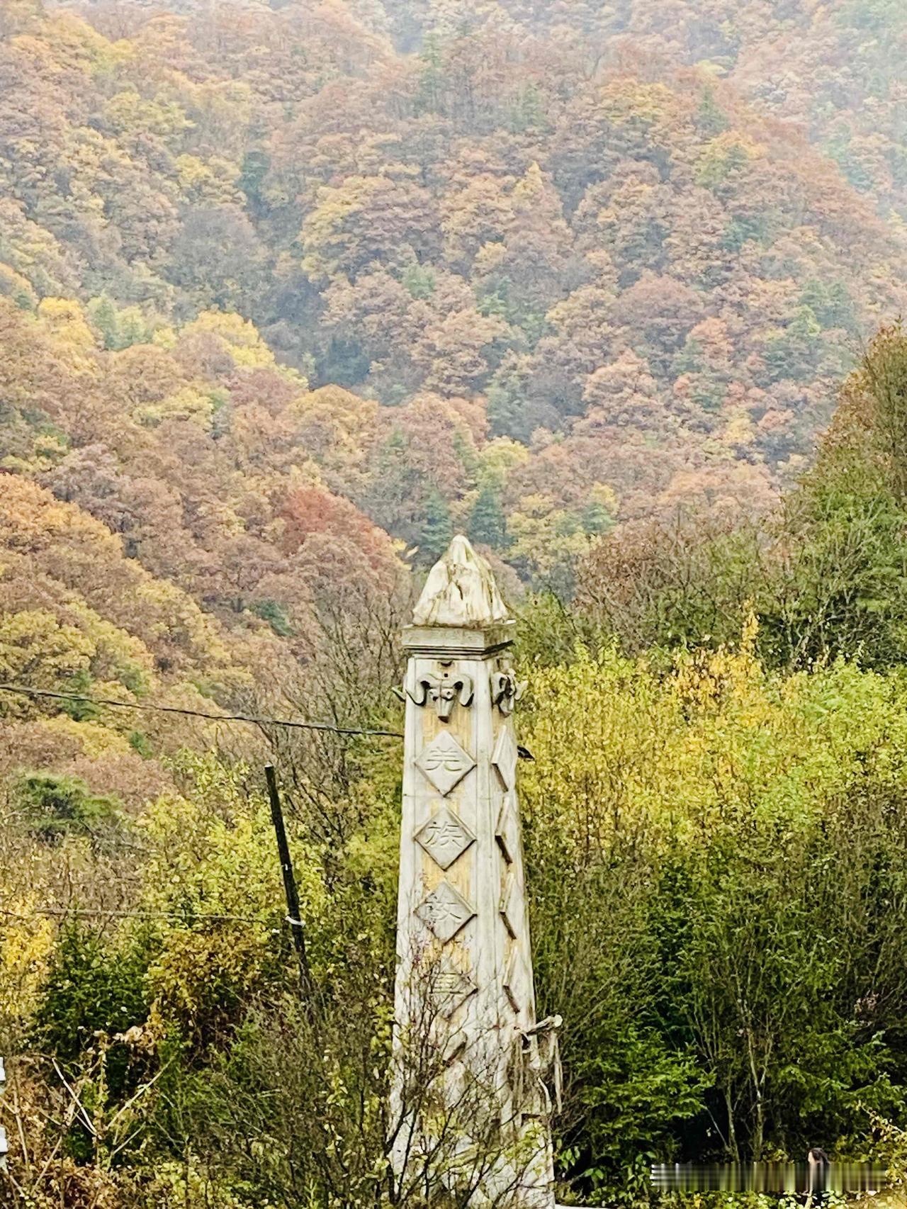 终于来到秦岭赏秋的核心区域——陕西汉中留坝县。

不知道是否是地理分界的原因，从