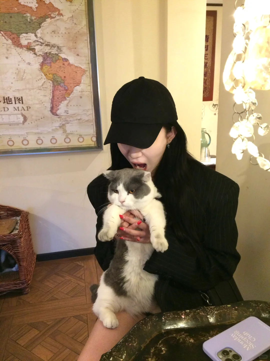 撸猫日记🐱