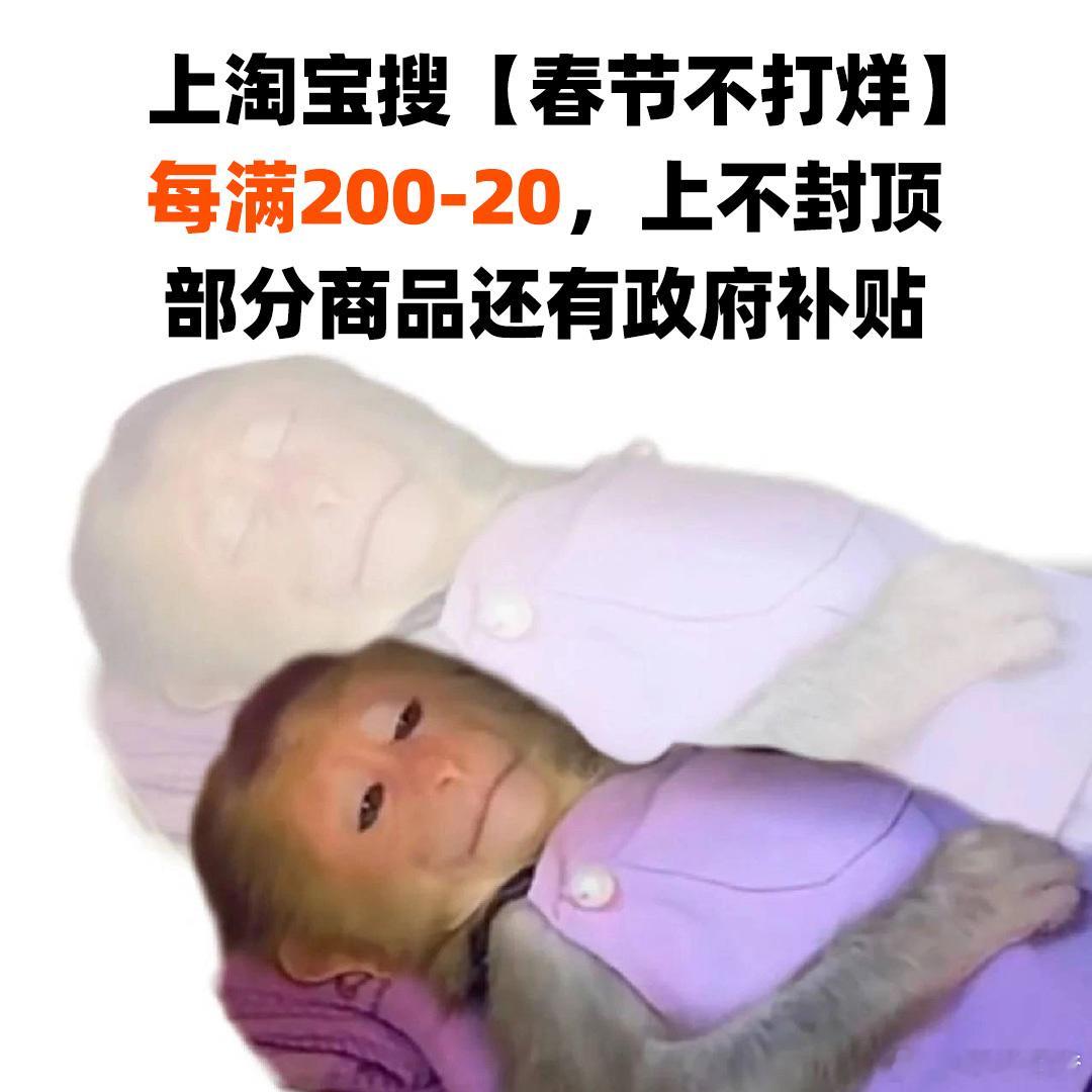 淘宝春节不打烊 这个春节一定要过得轻松又惬意，扫地那是不存在的，已经下单扫地机了