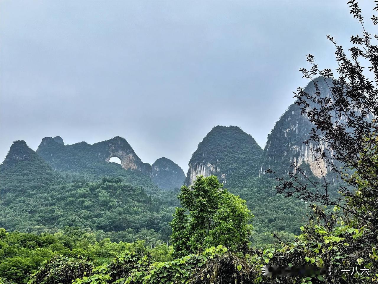 据巨娃说： 南海的沙子太懂🌵“养生”，早被🏝椰林和🌊浪花裹成“度假款”，哪